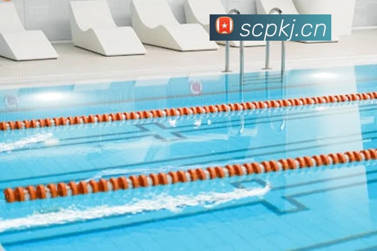 九游j9最新官网平台生态图